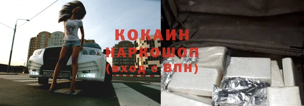 стаф Алзамай