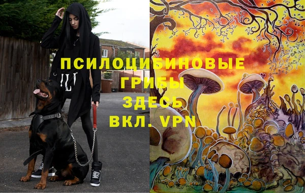скорость Абаза