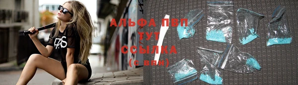 гидра Киренск