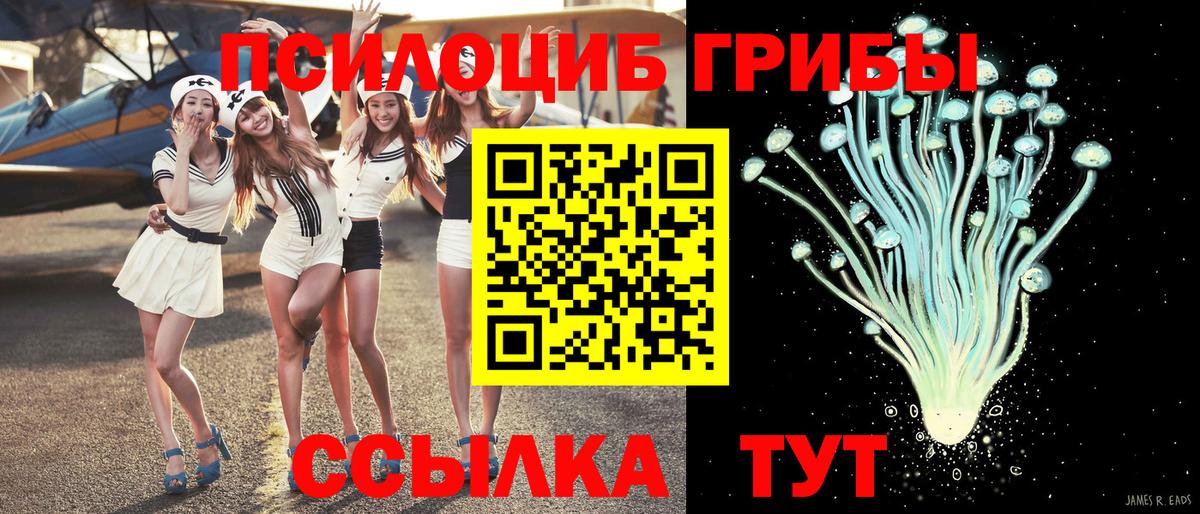 Псилоцибиновые грибы MAGIC MUSHROOMS  Вход с VPN  купить   Тобольск 