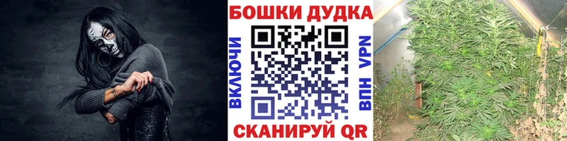 Конопля индика  как найти закладки  Тобольск 